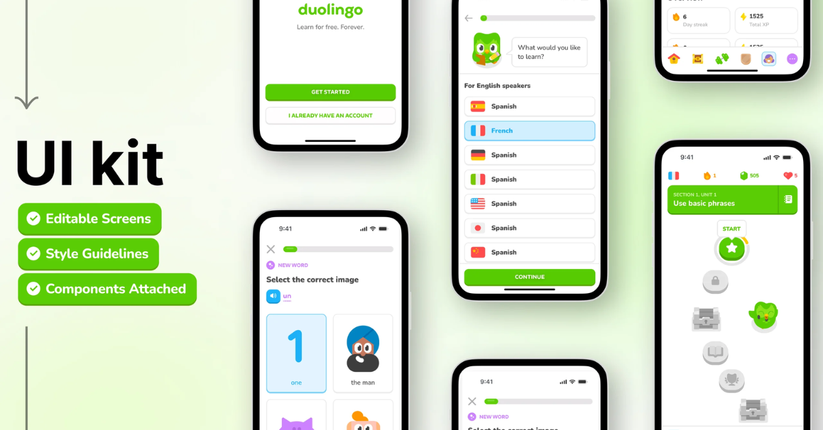 Duolingo User Interface